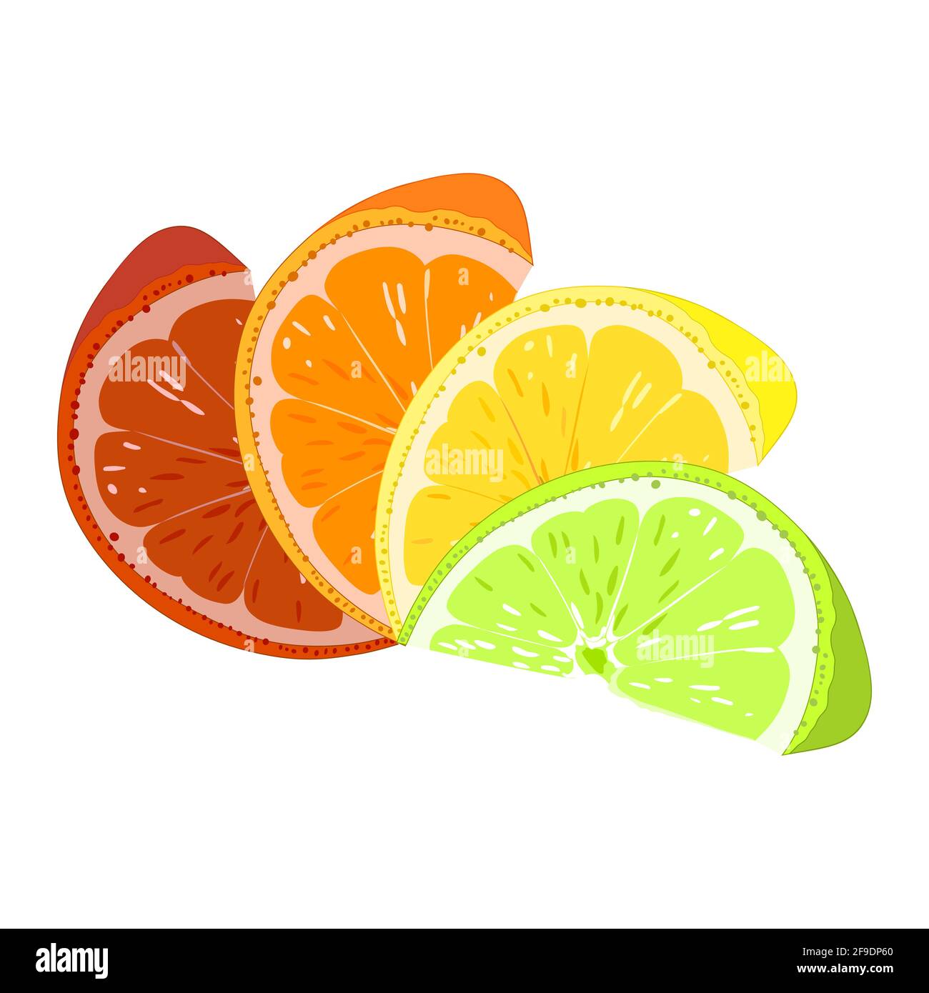 Orange, lemon, lime grapefruit Citrus slices Close-up Stock Vector