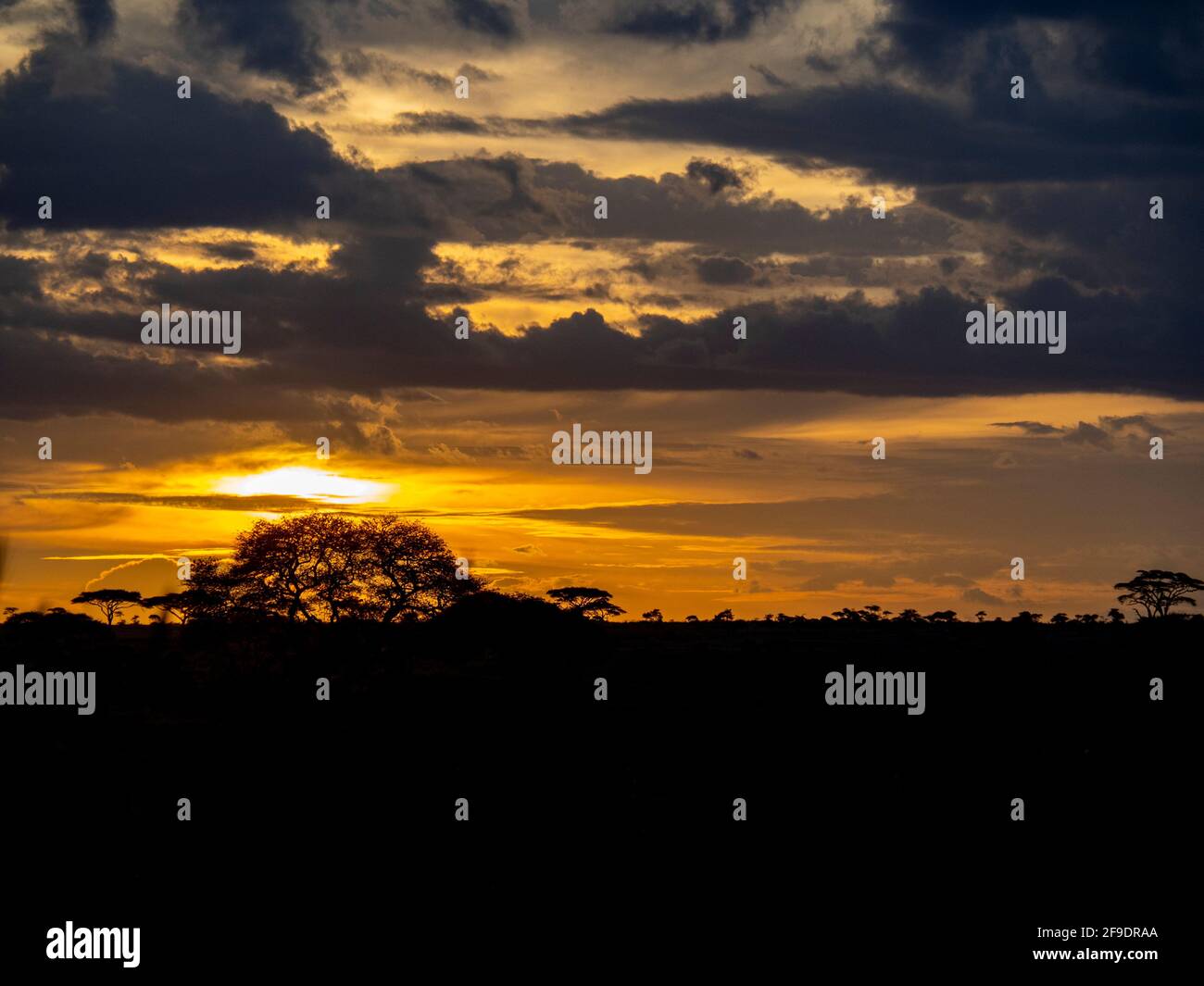 Serengeti National Park, Tanzania, Africa - February 29, 2020: Cloudy Sunset over the Serengeti Stock Photo