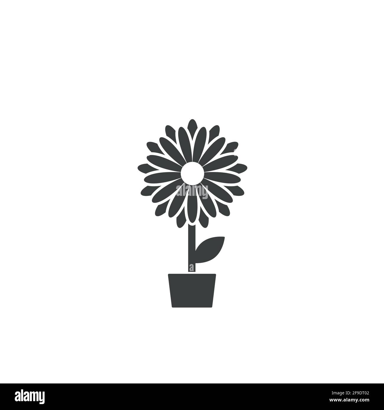 Black flat icon of chrysanthemum flower in pot. Big Bloom with big sharp petals and white core. Isolated on white. Vector illustration. Eco style. Nat Stock Vector