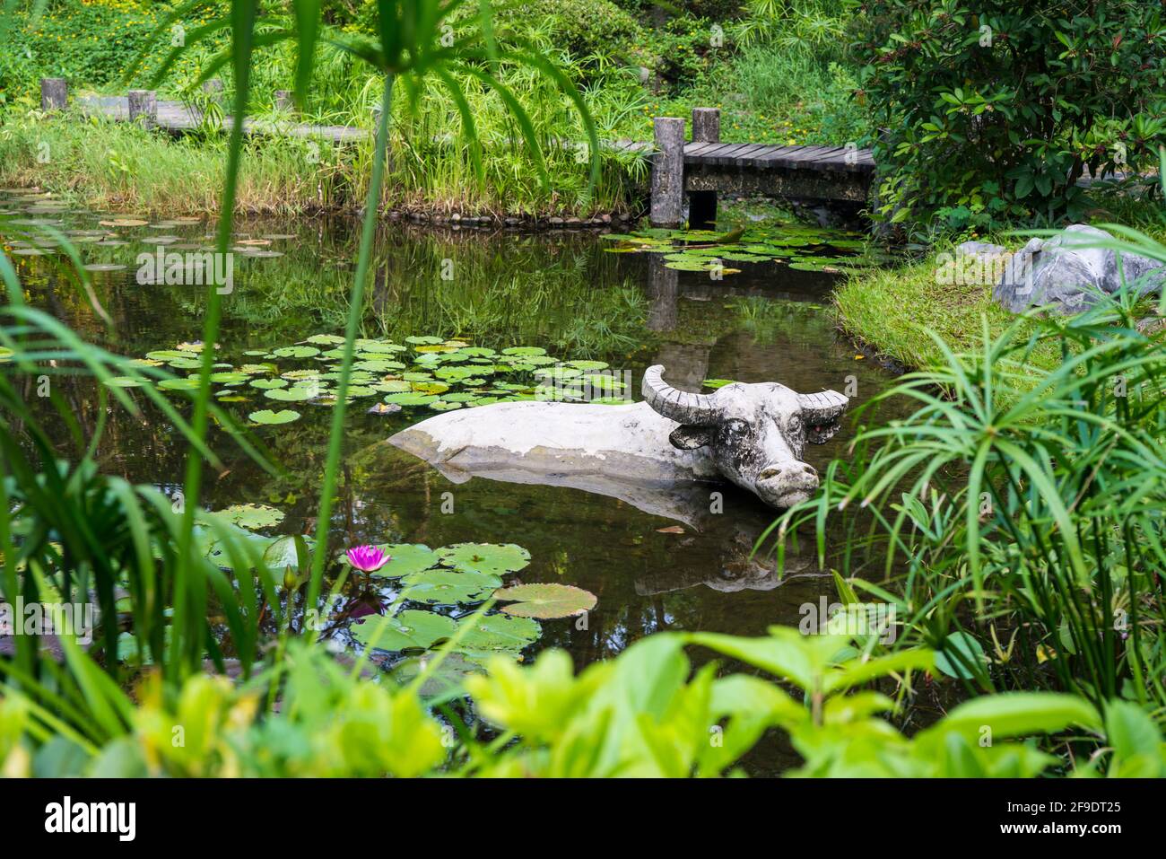 Shenzhen, China. October, 2019. The stone cow in the water at  Xanadu. Xanadu is a garden of Shenzhen International Garden and Flower Expo Park. The p Stock Photo