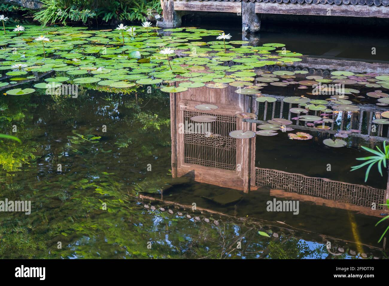 Shenzhen, China. October, 2019. Reflection of the wooden house at Xanadu. Xanadu is a garden of Shenzhen International Garden and Flower Expo Park. Th Stock Photo