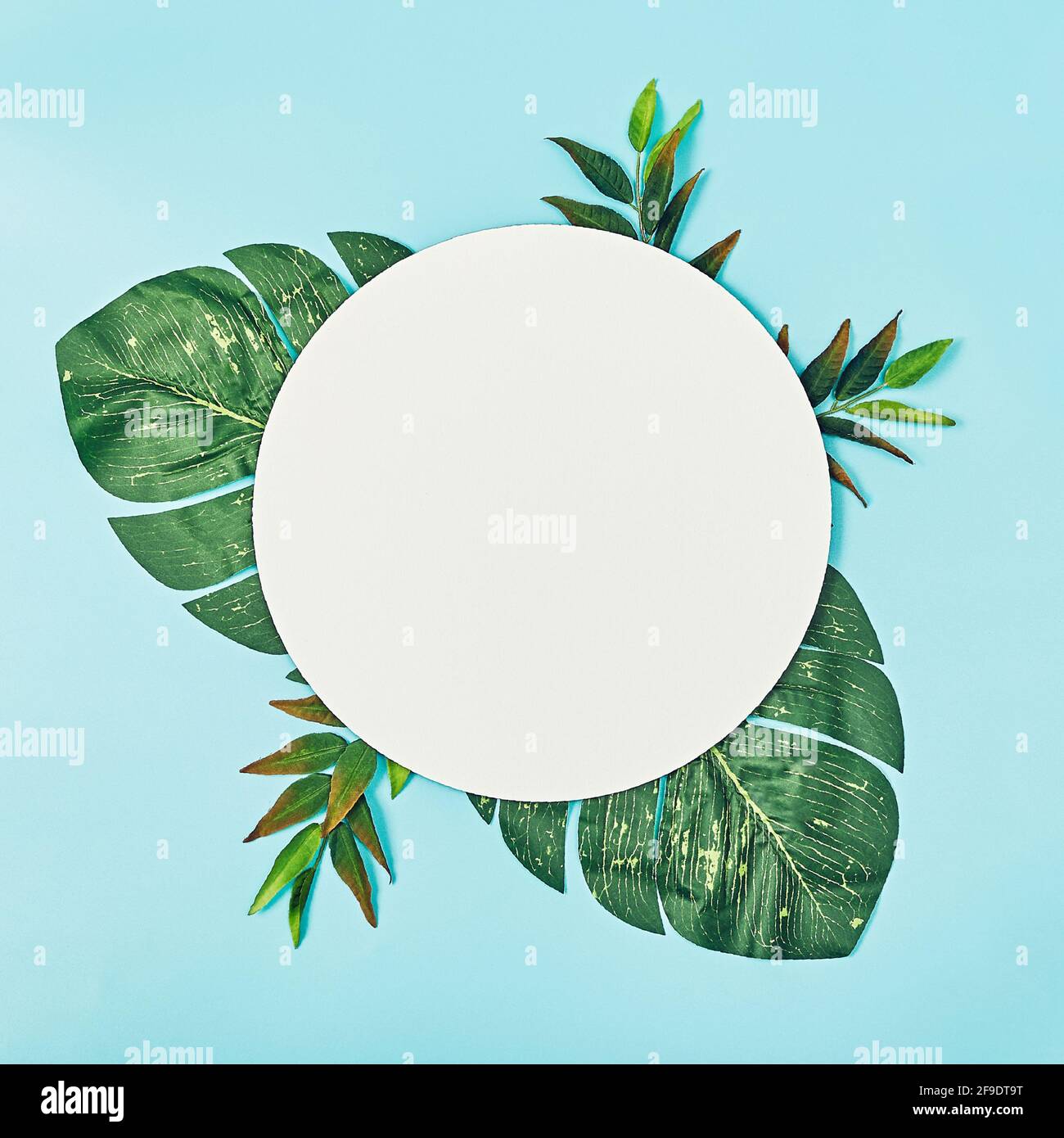 Composition of summer flowers. Round blank paper, green palms on a pastel blue background. Flat lay, top view, copy space, square Stock Photo