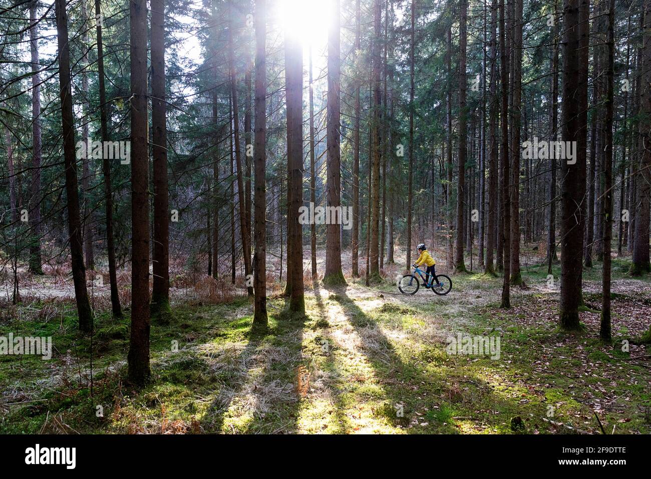 Kid Cycling In Forest Stock Photo Alamy