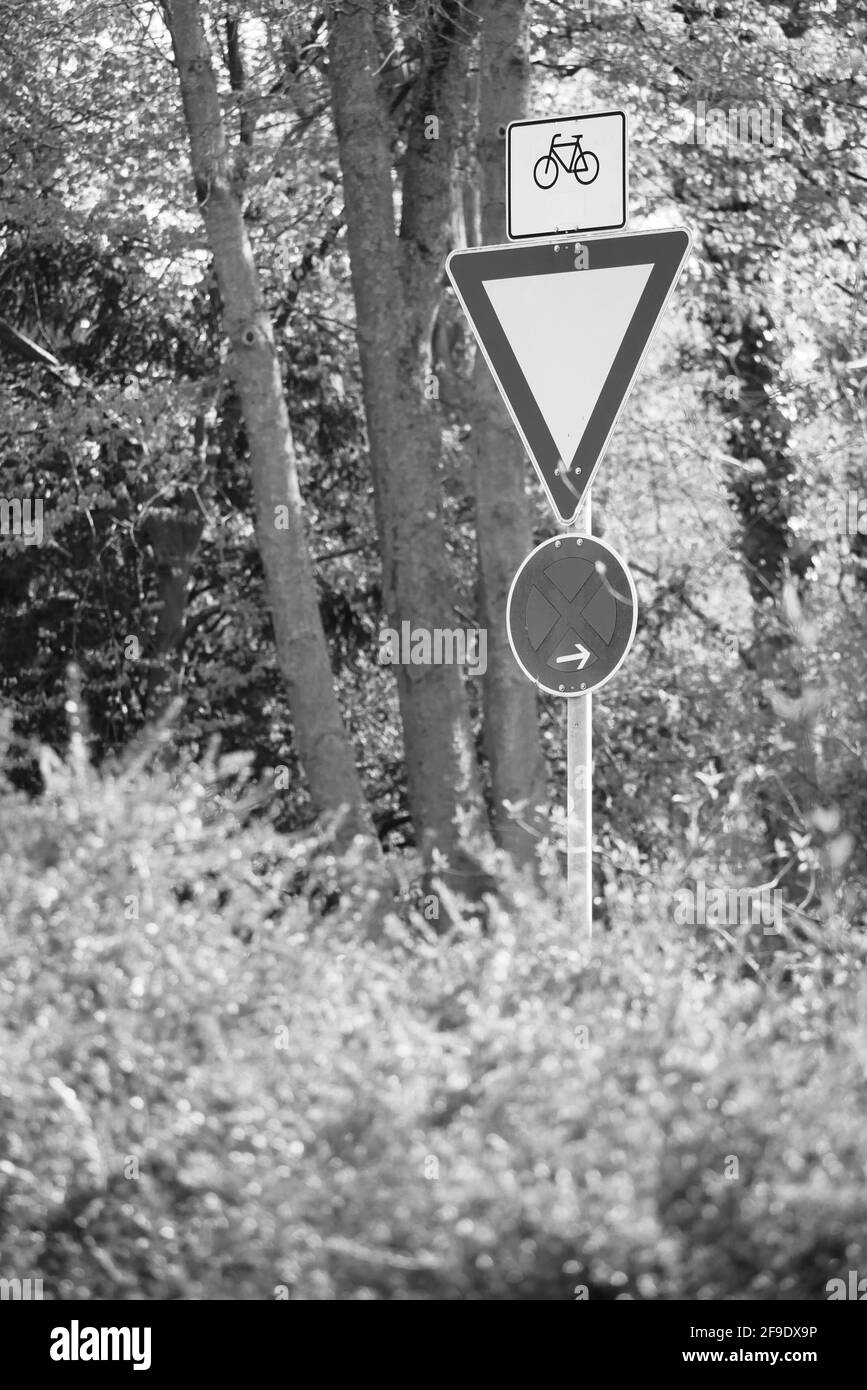 road traffic sign right of way bicycle path and no parking abstract in nature between bushes and trees in black and white Stock Photo