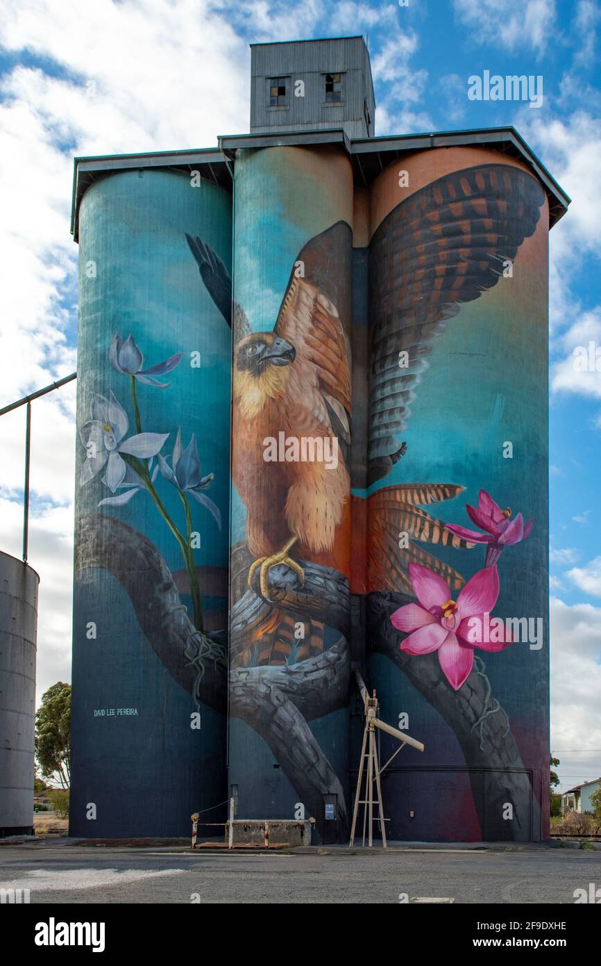 Australian Hobby and Sun Orchids Silo Art, Kaniva, Victoria, Australia Stock Photo