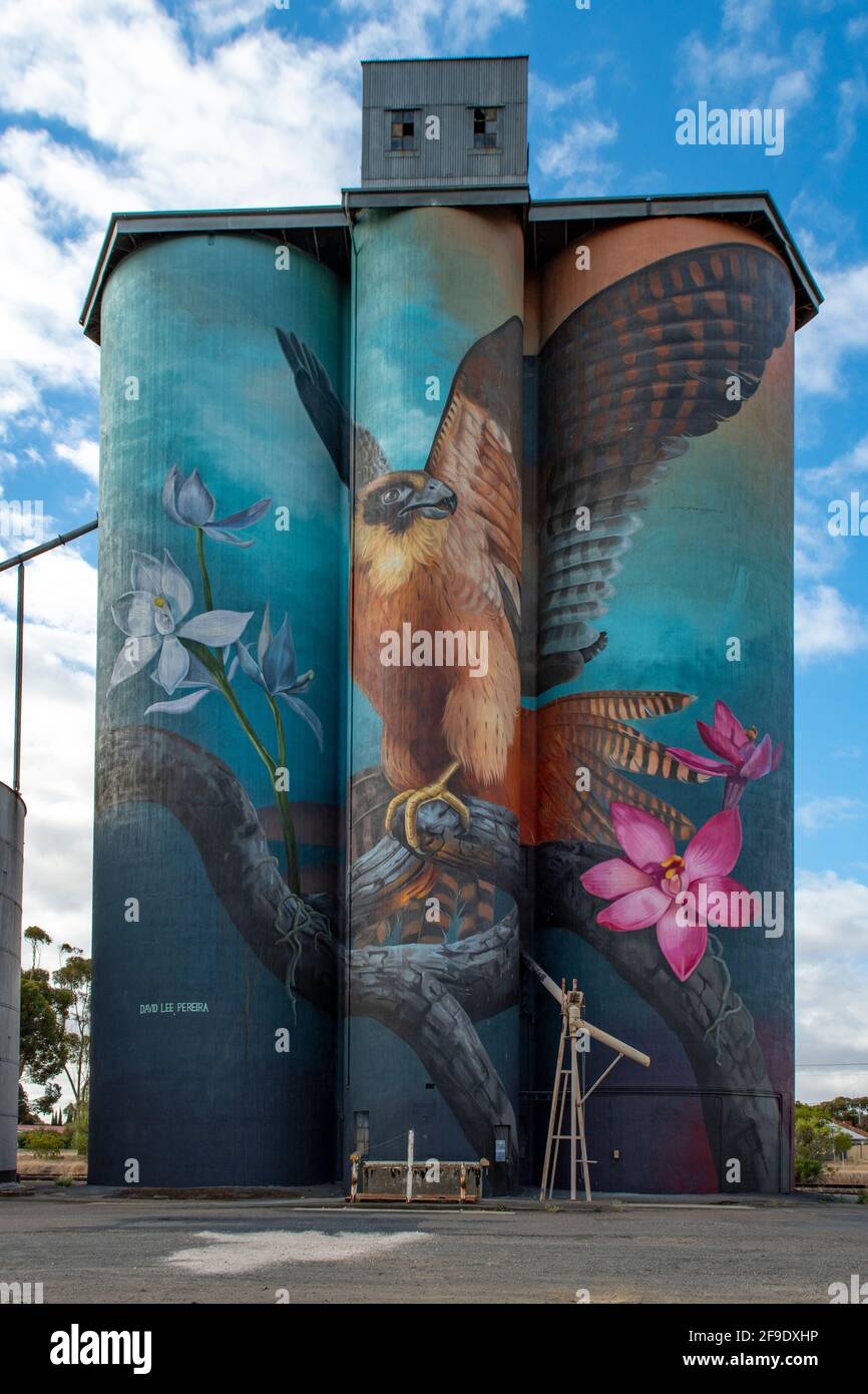 Australian Hobby and Sun Orchids Silo Art, Kaniva, Victoria, Australia Stock Photo