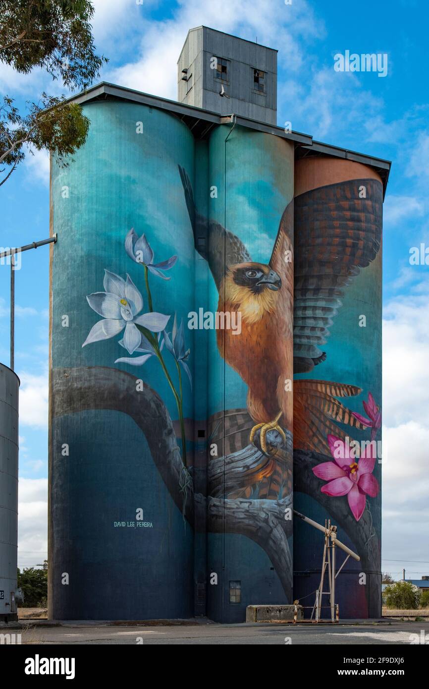Australian Hobby and Sun Orchids Silo Art, Kaniva, Victoria, Australia Stock Photo