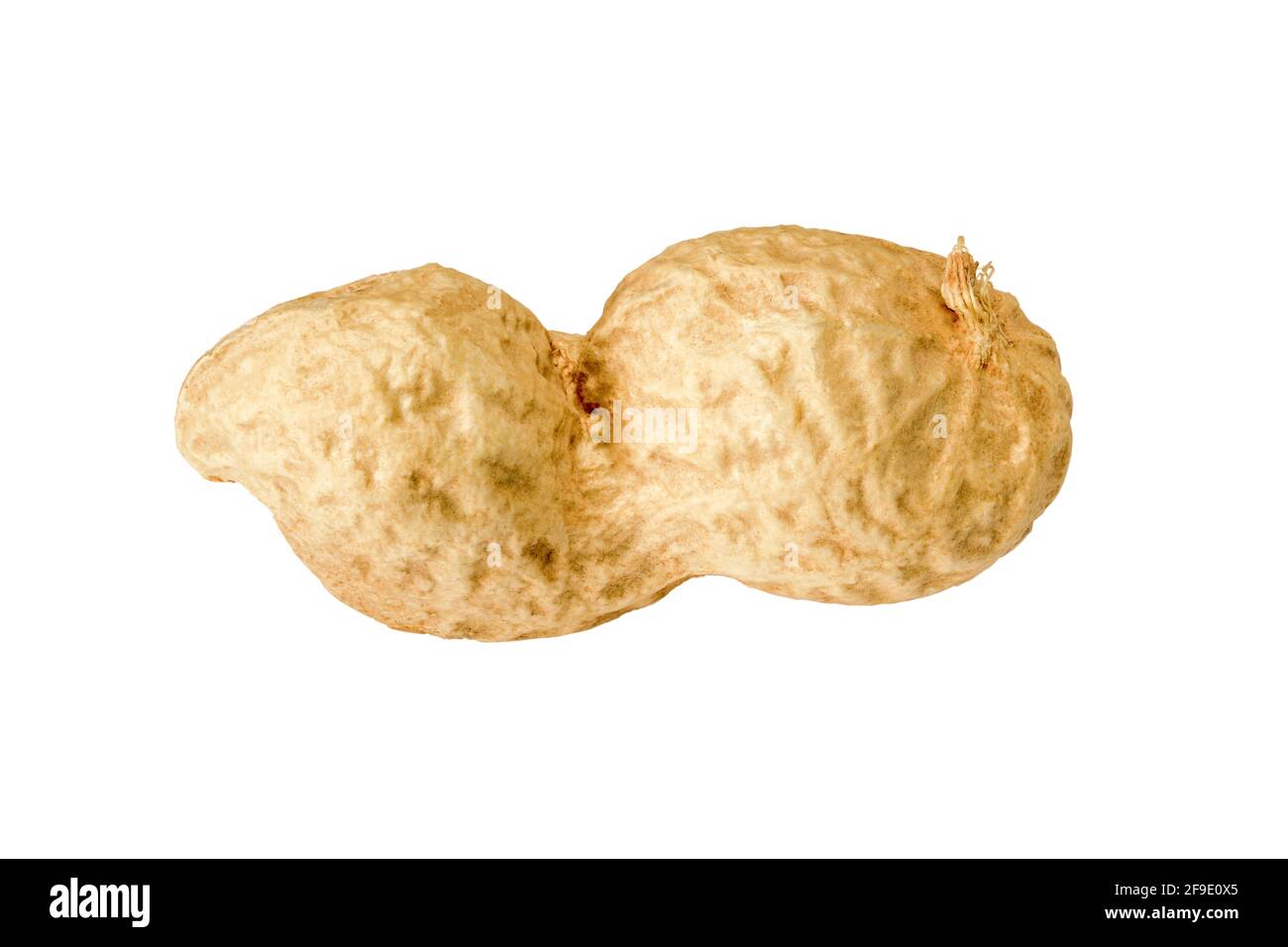 One Peanut Without Shell