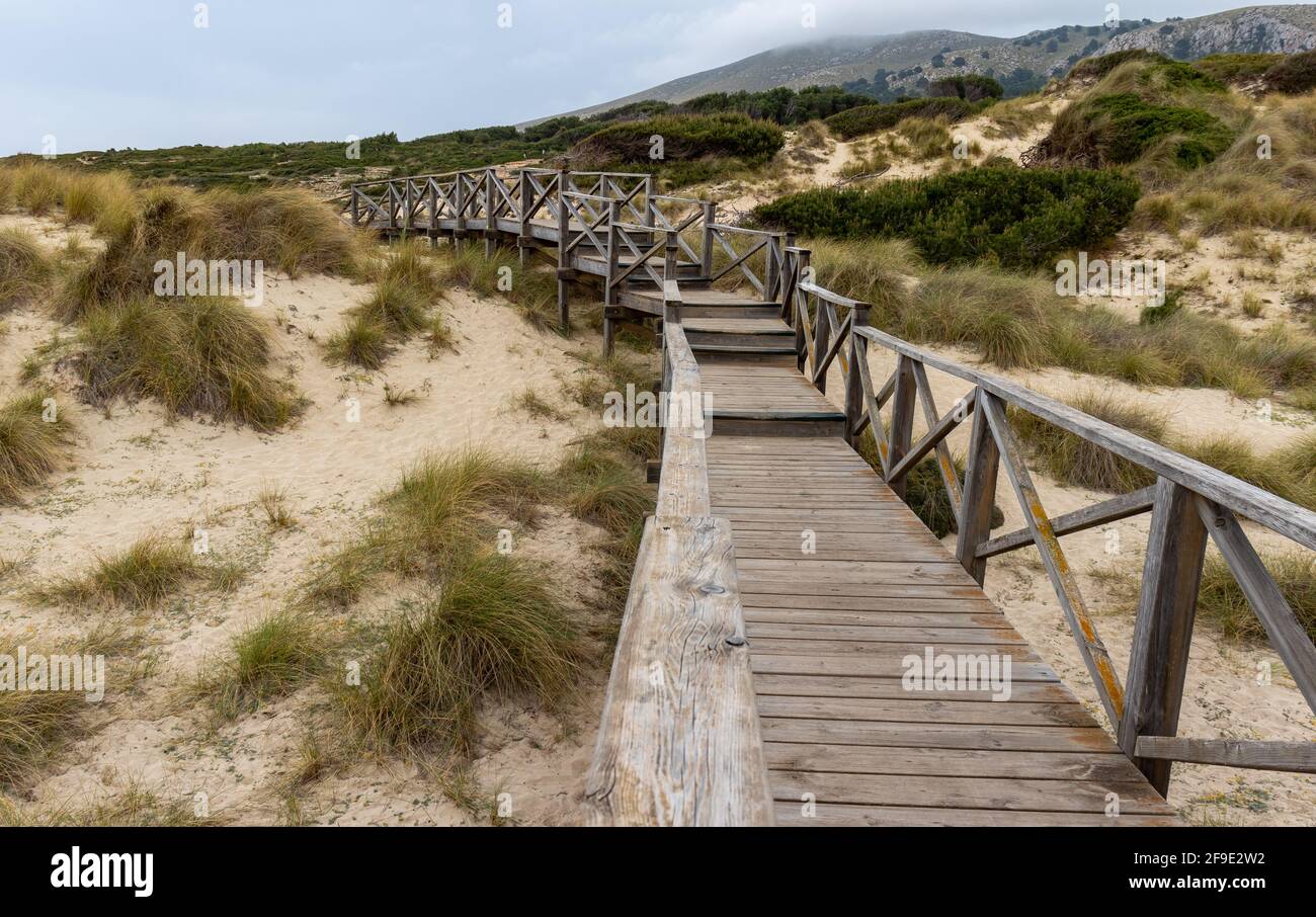 Wooden walkway over grass covered sand dunes to the beach of cala mesquida, mallorca Stock Photo