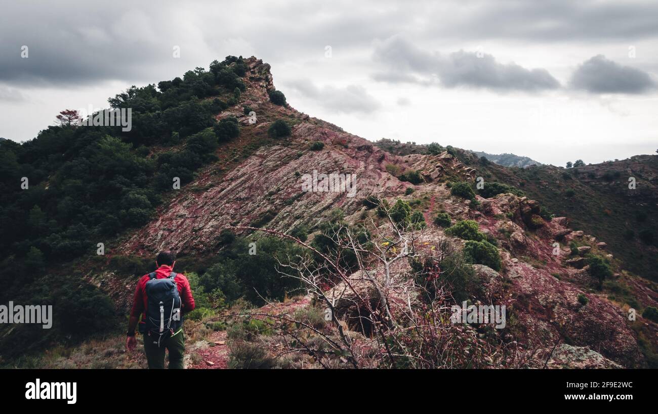 Back view hiker walking towards hi-res stock photography and images - Alamy