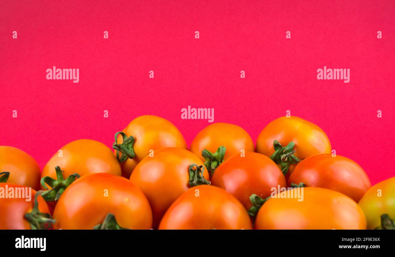 Stil life, tomatoes photography. Fresh ripe tomatoes with fluorescent magenta pink background. Head on shot, horizontal, food photography image style. Stock Photo