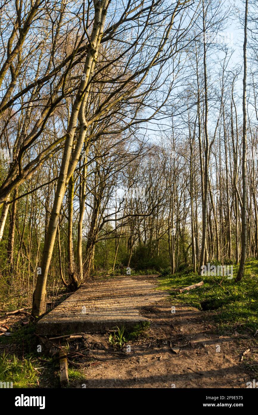 Remains of the platform of the terminus of the Calderstones Hospital Railway, Whalley, Lancashire. Stock Photo