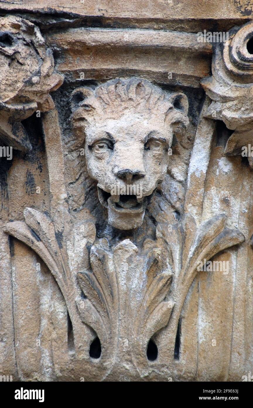 A lion surrounded by acanthus leaves on the top of a capital on bristol City Museum and Art Gallery. Stock Photo