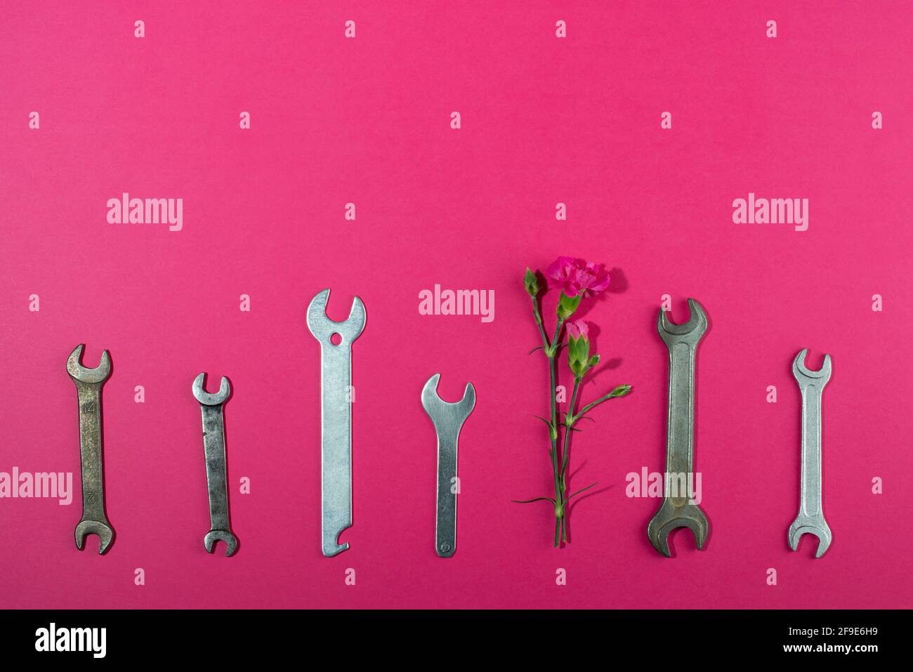 Labor Day background concept, 1 May concept. Wrench and clove pink carnation flower on pink background. Flat lay, top view. Stock Photo