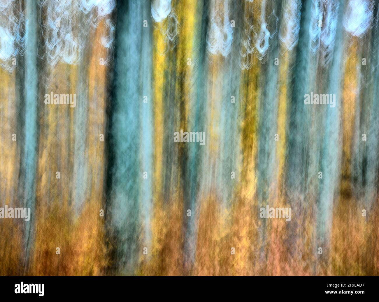 Abstract trees and leaves hi-res stock photography and images - Alamy