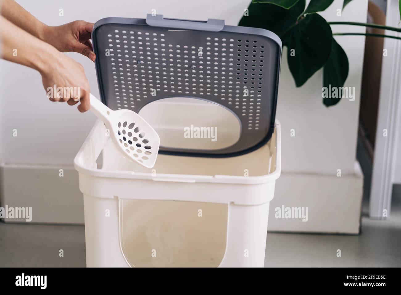 Toilet box hires stock photography and images Alamy