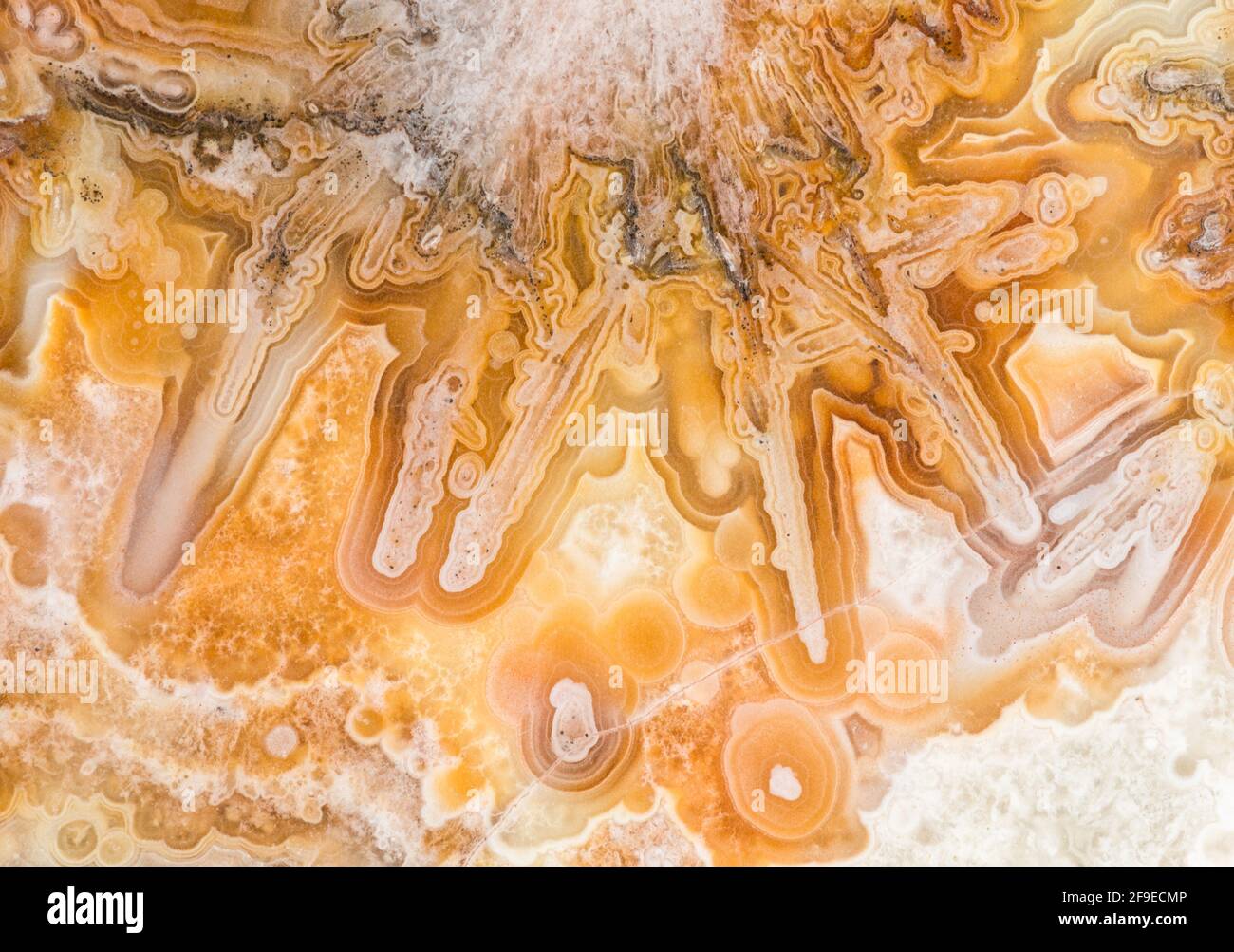 Macro texture photography of the colors and patterns in a Lace agate from Mexico Stock Photo