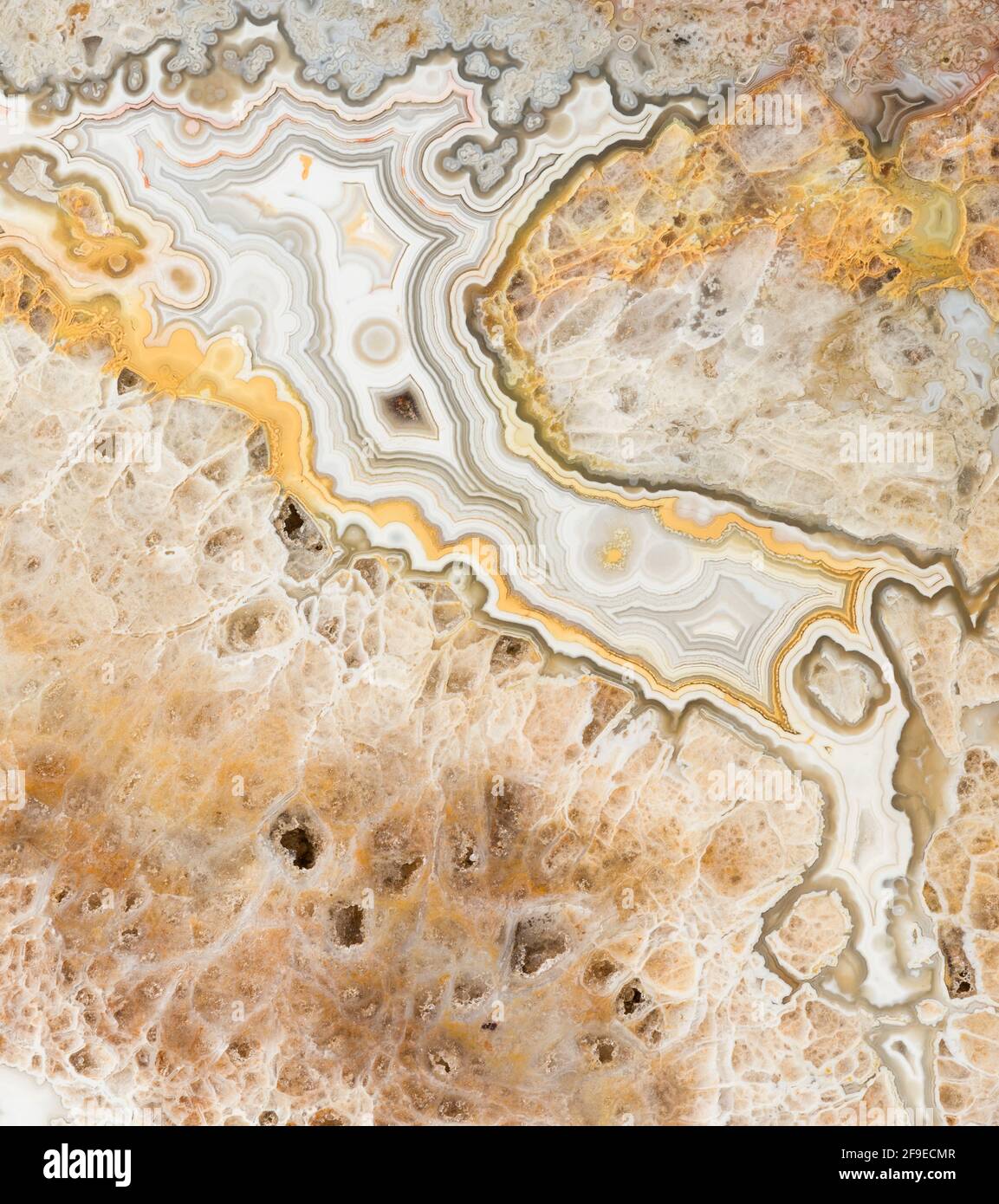 Macro texture photography of the colors and patterns in a Lace agate ...