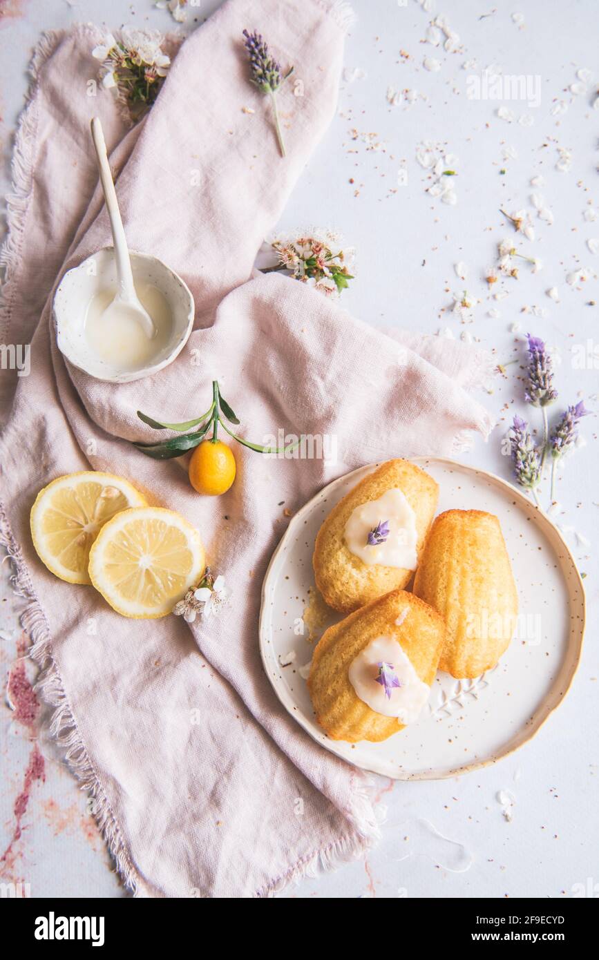 Overhead view of tasty madeleines on plate between fresh lemon slices and blooming lavender sprigs on crumpled textile Stock Photo