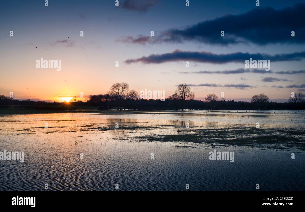 Flooded field at sunset landscape. Field under floodwater after rain in Buckinghamshire, UK Stock Photo