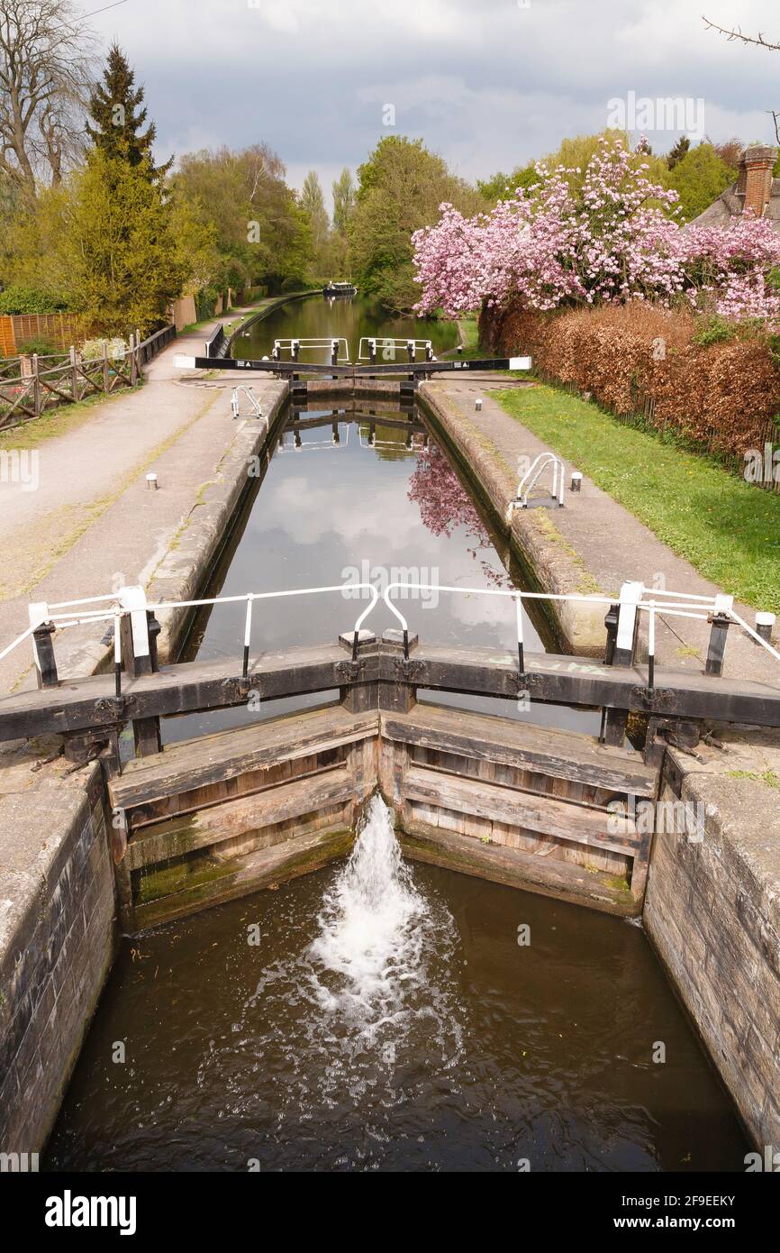 Canal lock on Grand Union Canal. London, UK Stock Photo Alamy