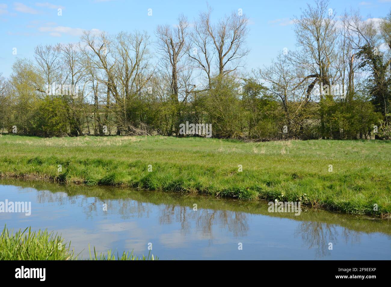 Anglesey Abbey Cambridge UK,  Avenue tree beautiful blue sky background landscape with the river water mirror reflection High Resolution,Stock Photo Stock Photo