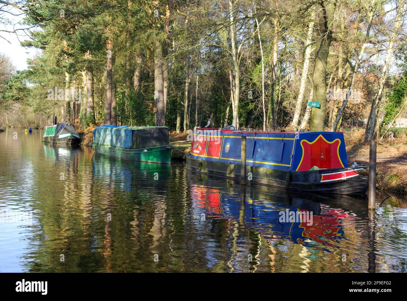 Narrow boats moored on the Basingstoke Canal near the Centre at Mytchett, Surrey, UK Stock Photo