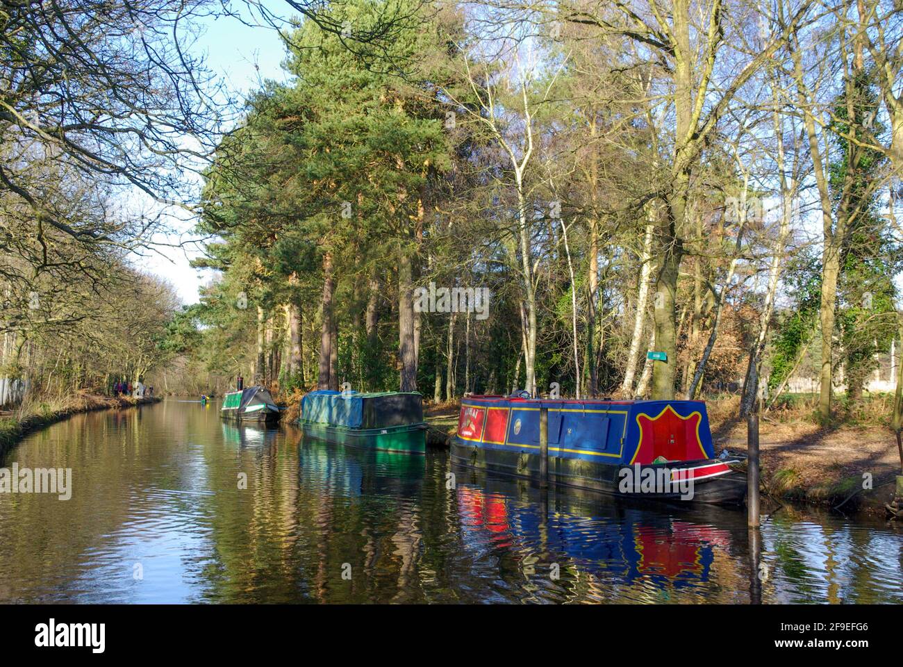Narrow boats moored on the Basingstoke Canal near the Centre at Mytchett, Surrey, UK Stock Photo
