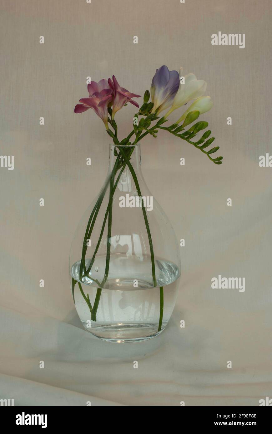 Glass vase with flowers on white background Stock Photo - Alamy