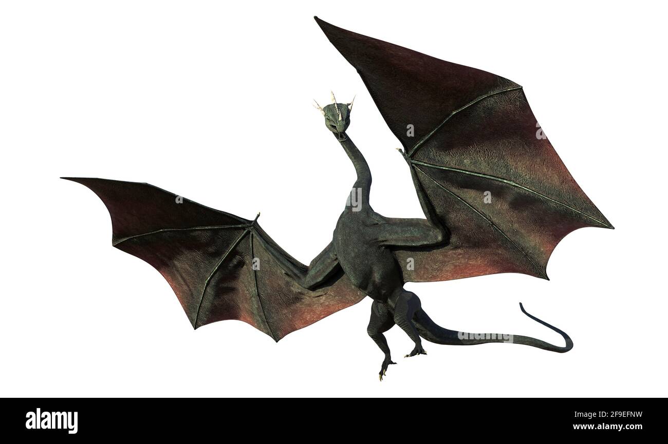 dragon, magical creature isolated on white background Stock Photo