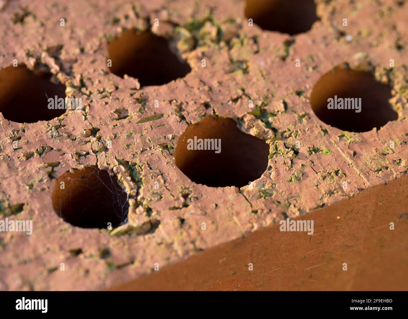 Hollow Red bricks in close up Stock Photo