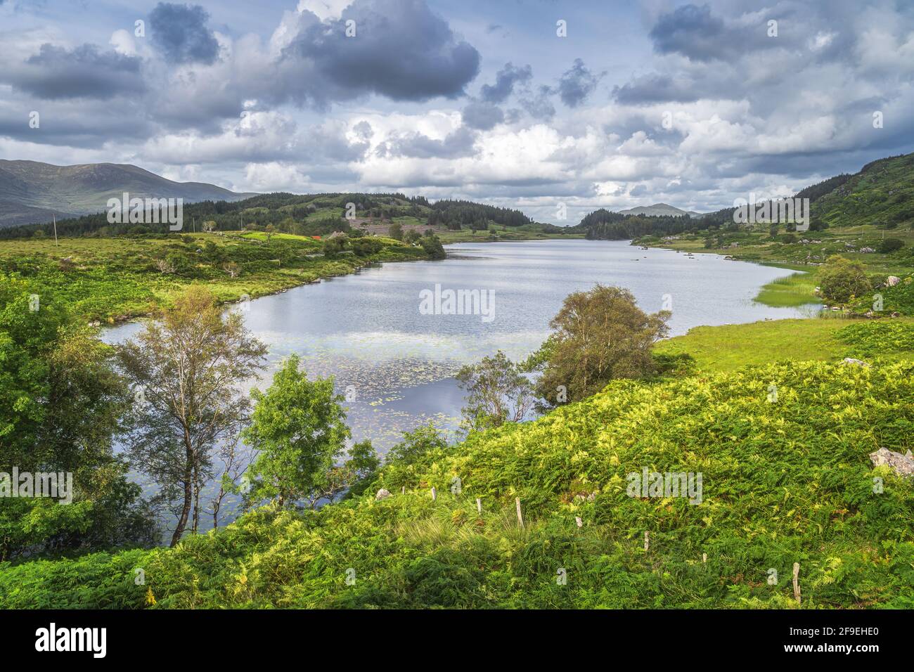 Beautiful lake, Looscaunagh Lough, surrounded by green ferns and hills of  Molls Gap in MacGillycuddys Reeks, Ring of Kerry, Ireland Stock Photo -  Alamy