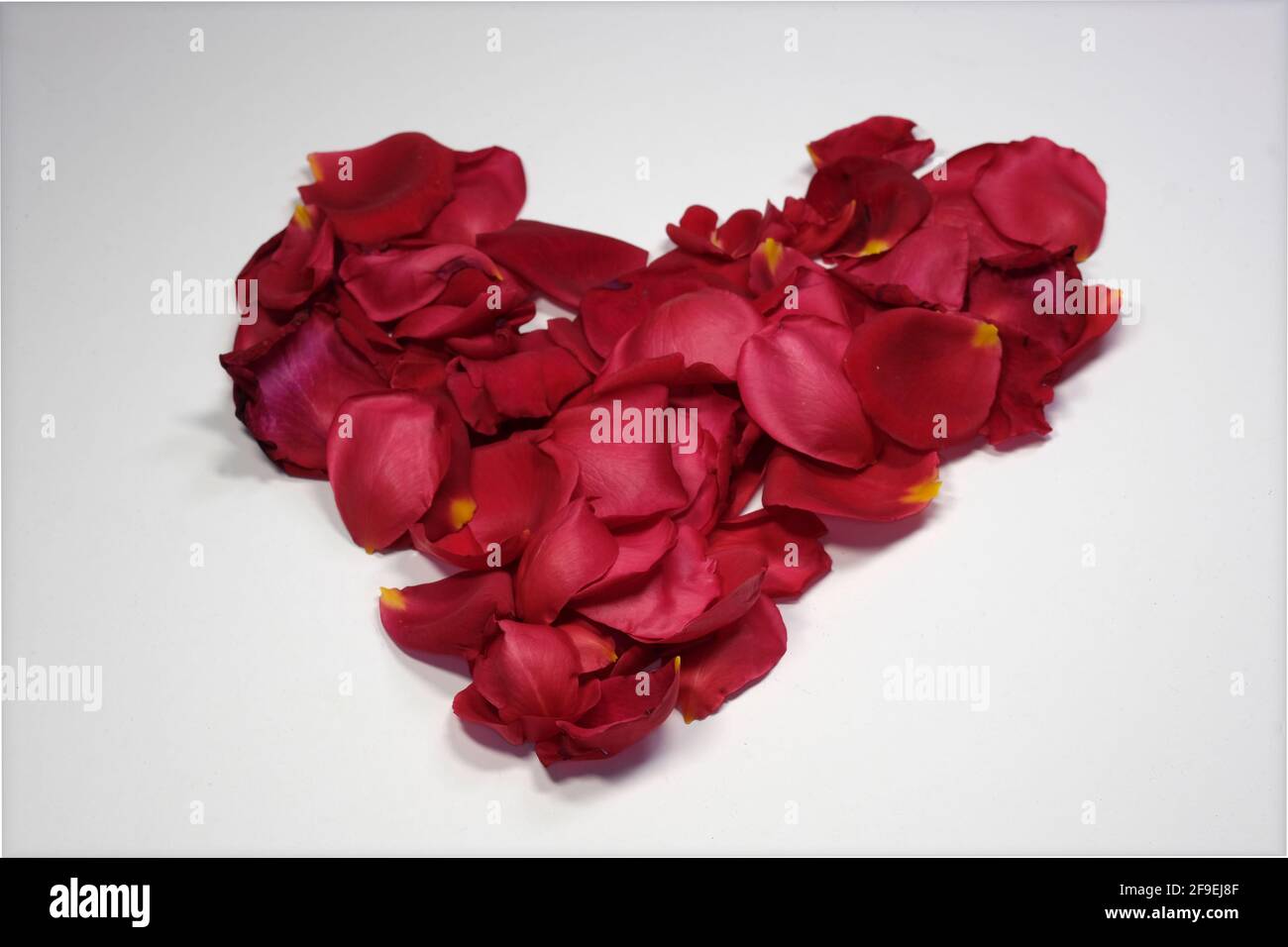 Petal Heart Stock Photo