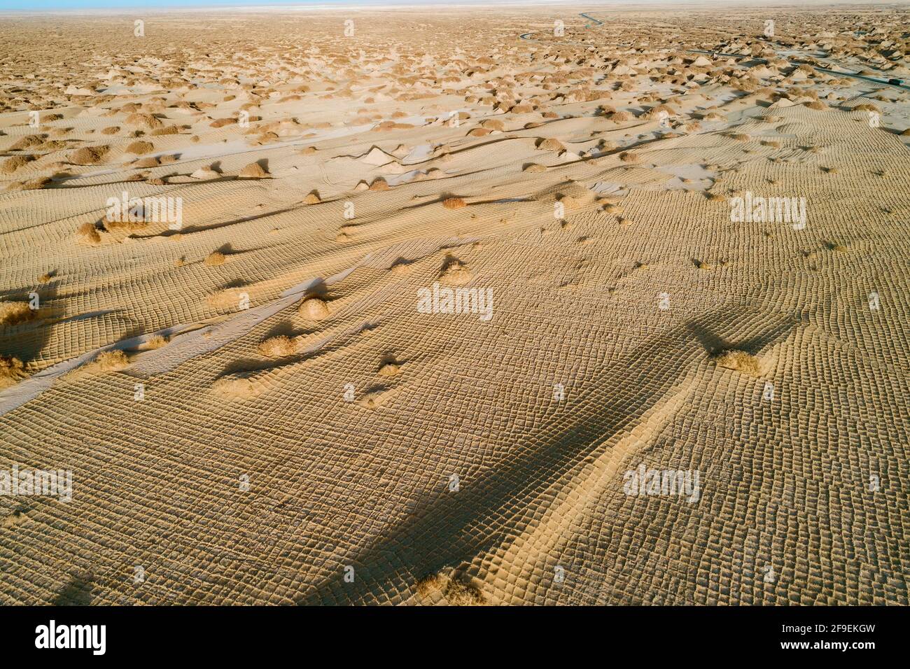 Aerial photography of desert sand fixation Stock Photo