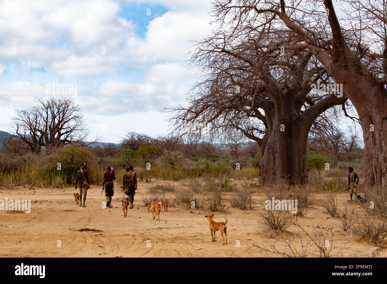 Hadzabe hunters on a hunting expedition. The Hadza, or Hadzabe, are an ethnic group in north-central tanzania, living around Lake Eyasi in the Central Stock Photo