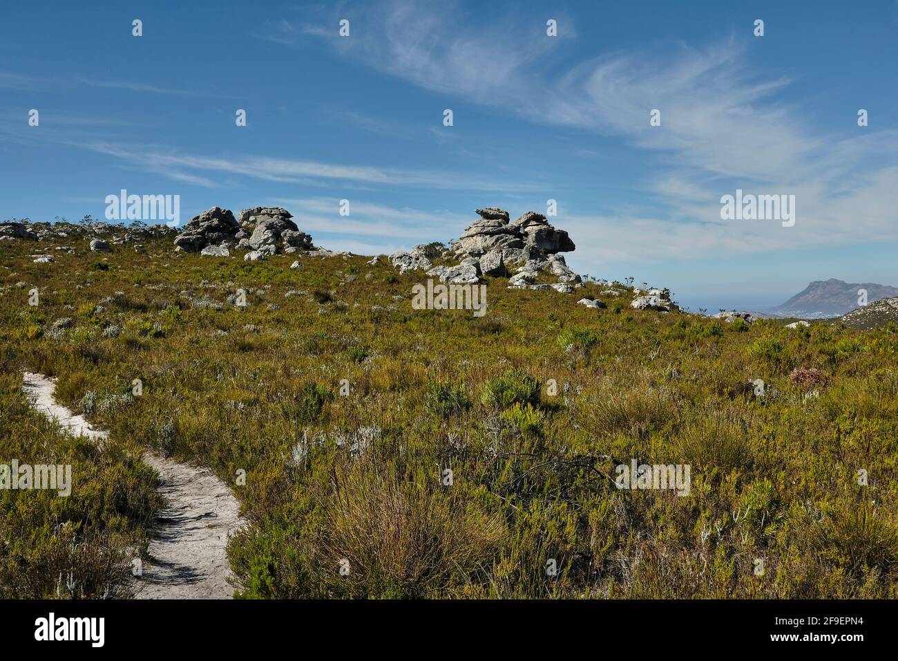 Elephants Eye hiking trail in the SANParks silvermine nature reserve, Cape Town, South Africa Stock Photo
