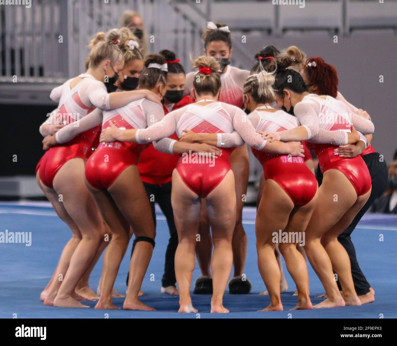 The Utah gymnastics team huddles together on the floor apparatus during
