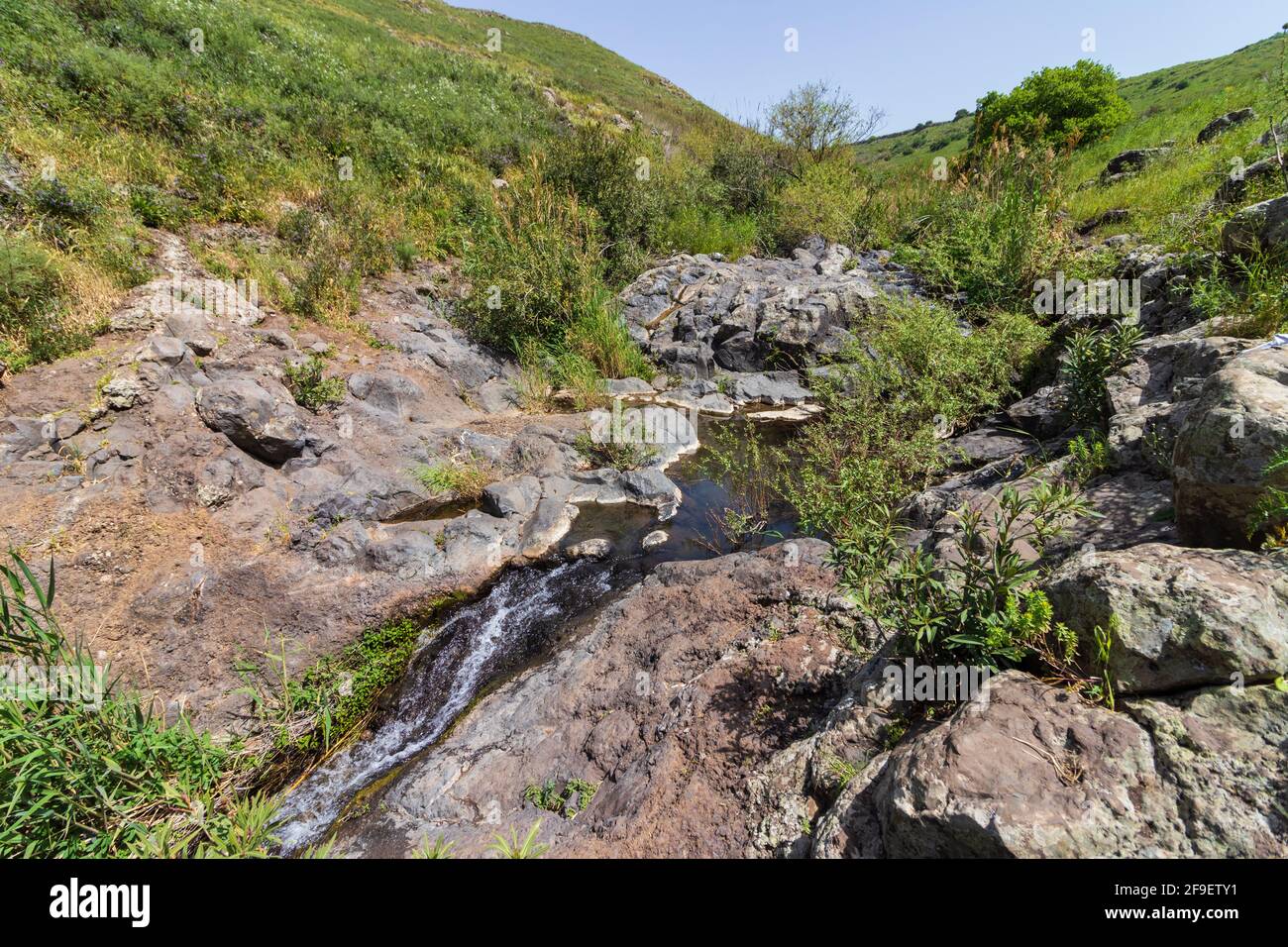 A stream of fresh water flowing into a natural pool surrounded by spring plants in Nahal Eit, Golan Heights Stock Photo
