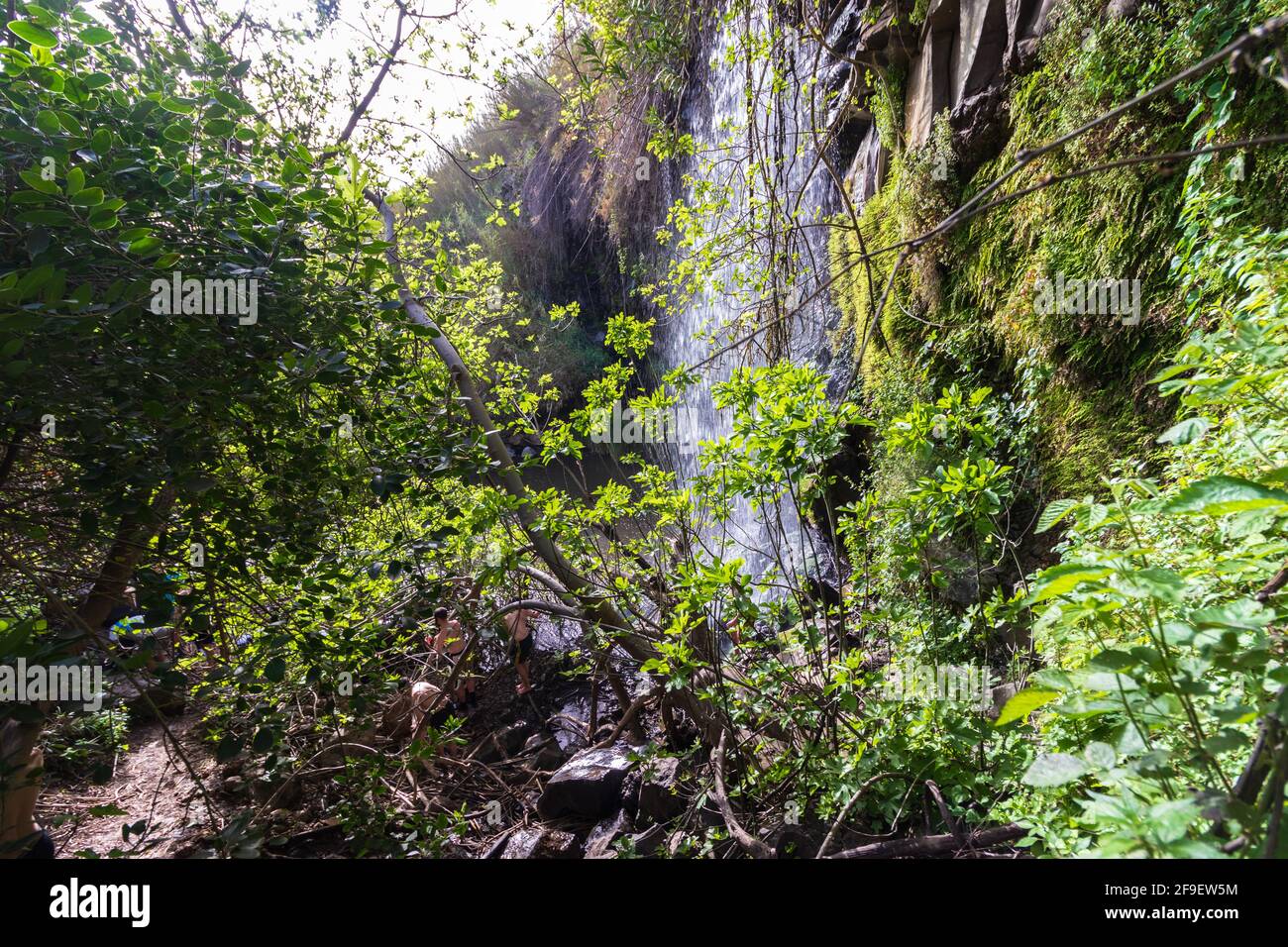 06-04-2021. aniem- israel. A high waterfall inside tall plants in Nahal Eit, in the artists' village of Aniam Stock Photo