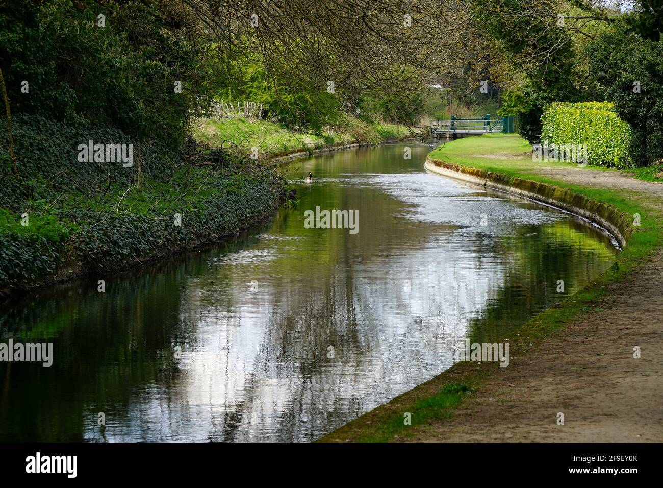 The New River close to Amwell Stock Photo