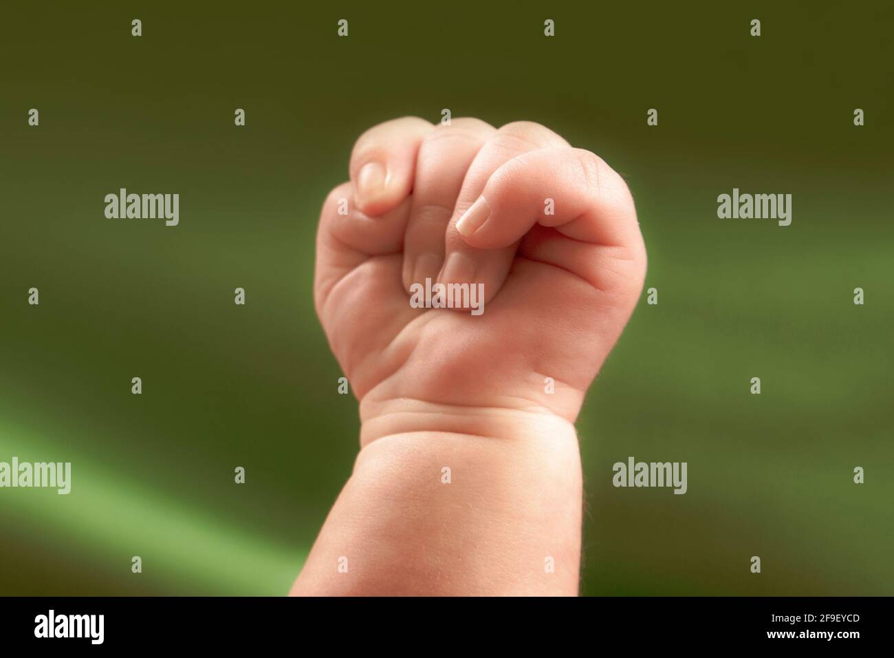 Newborn baby's hand clenched into a fist Stock Photo Alamy