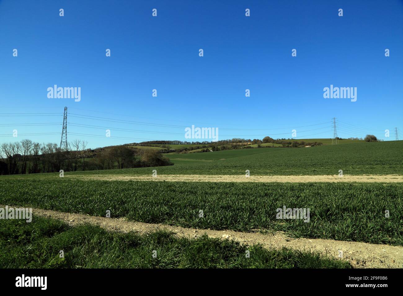 View of the North Downs from field outside Stowting, Kent, England, United Kingdom Stock Photo