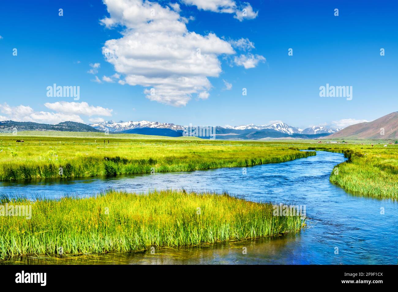 Point Reyes National Seashore Stock Photo Alamy