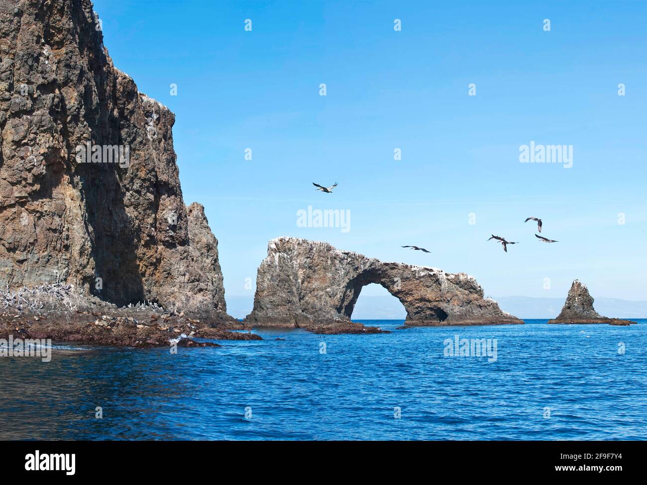 Anacapa Arch with birds, Channel Islands, California, America, Usa Stock Photo