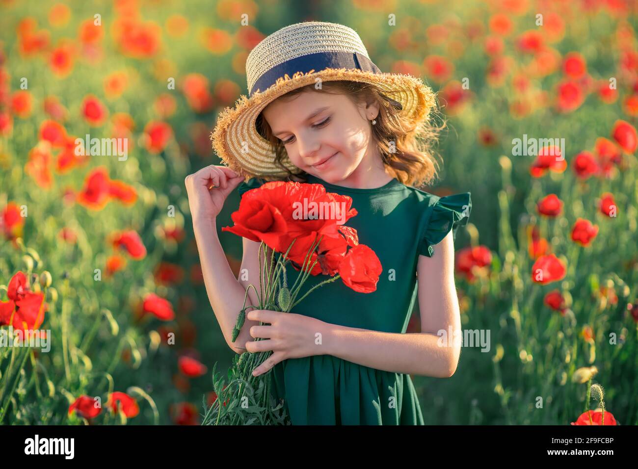beautiful girl in poppy field enjoys the beauty and aromas Stock Photo ...