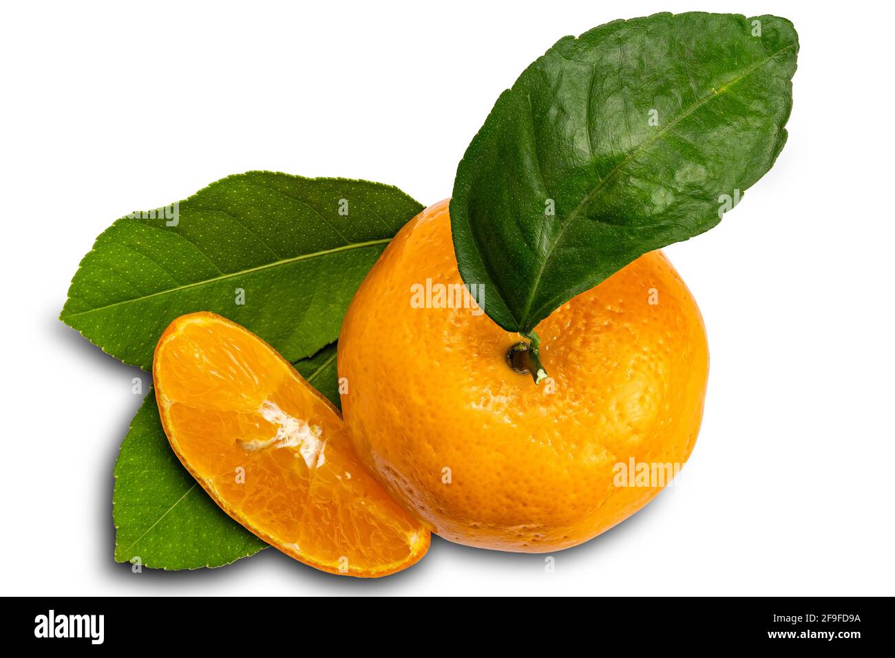 Top view of mandarin orange or Citrus reticulata with leaves on white background with clipping path Stock Photo