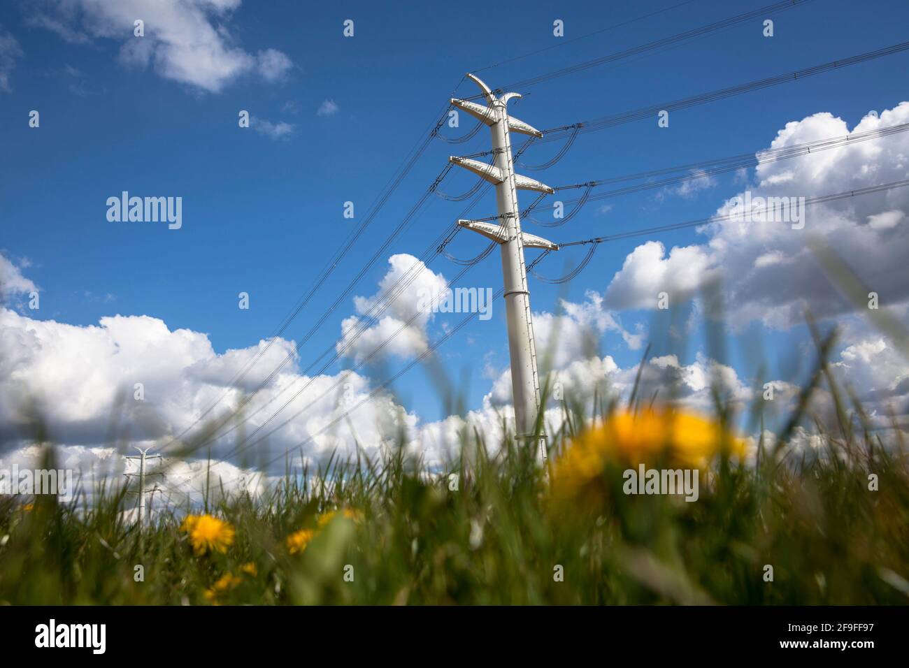near Isselburg in Muensterland, 380 kV power lines run over solid wall pylons, it is a pilot project of the transmission system operator Amprion, Nort Stock Photo