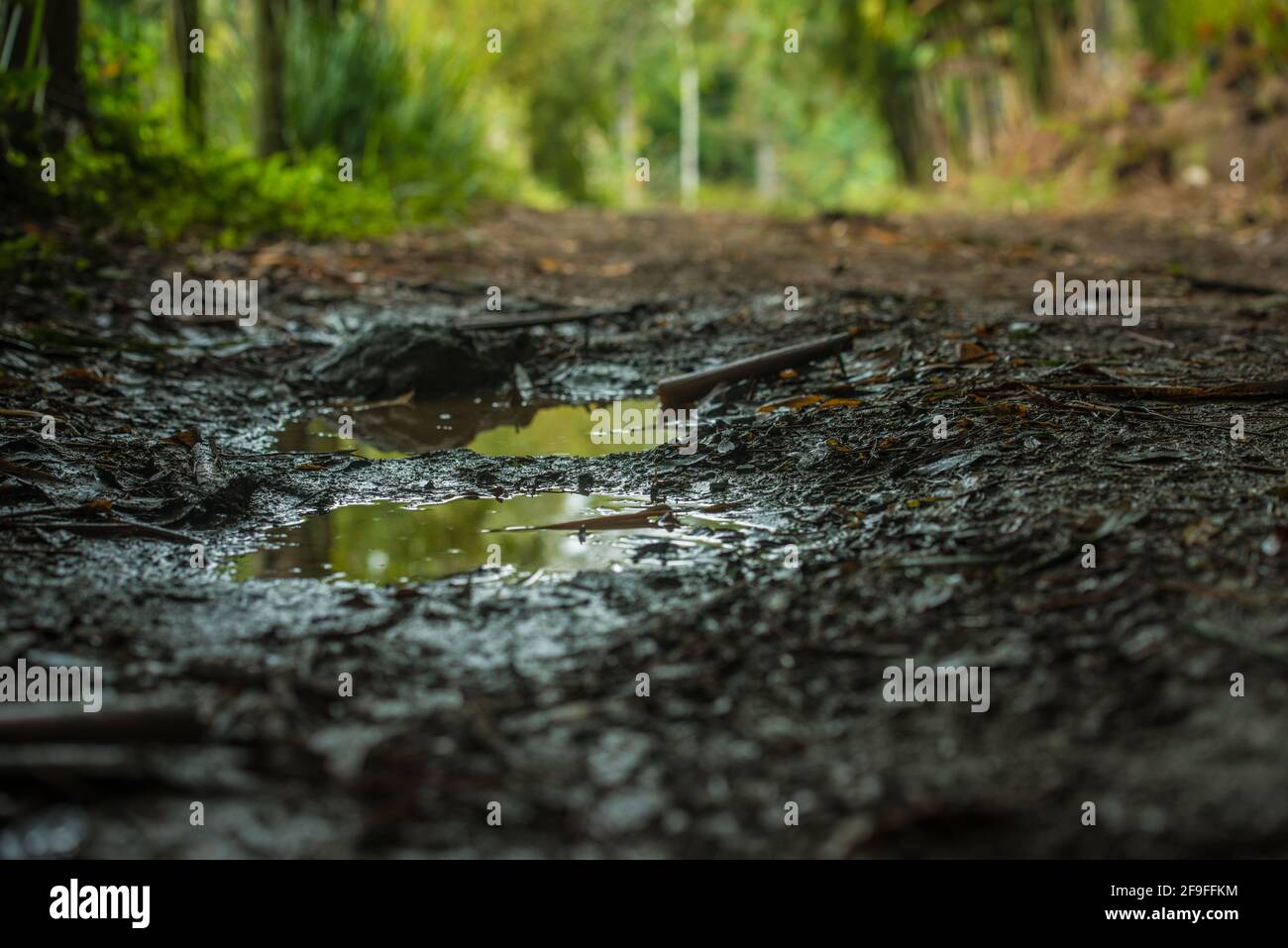 a puddle with mud in the middle of the road Stock Photo