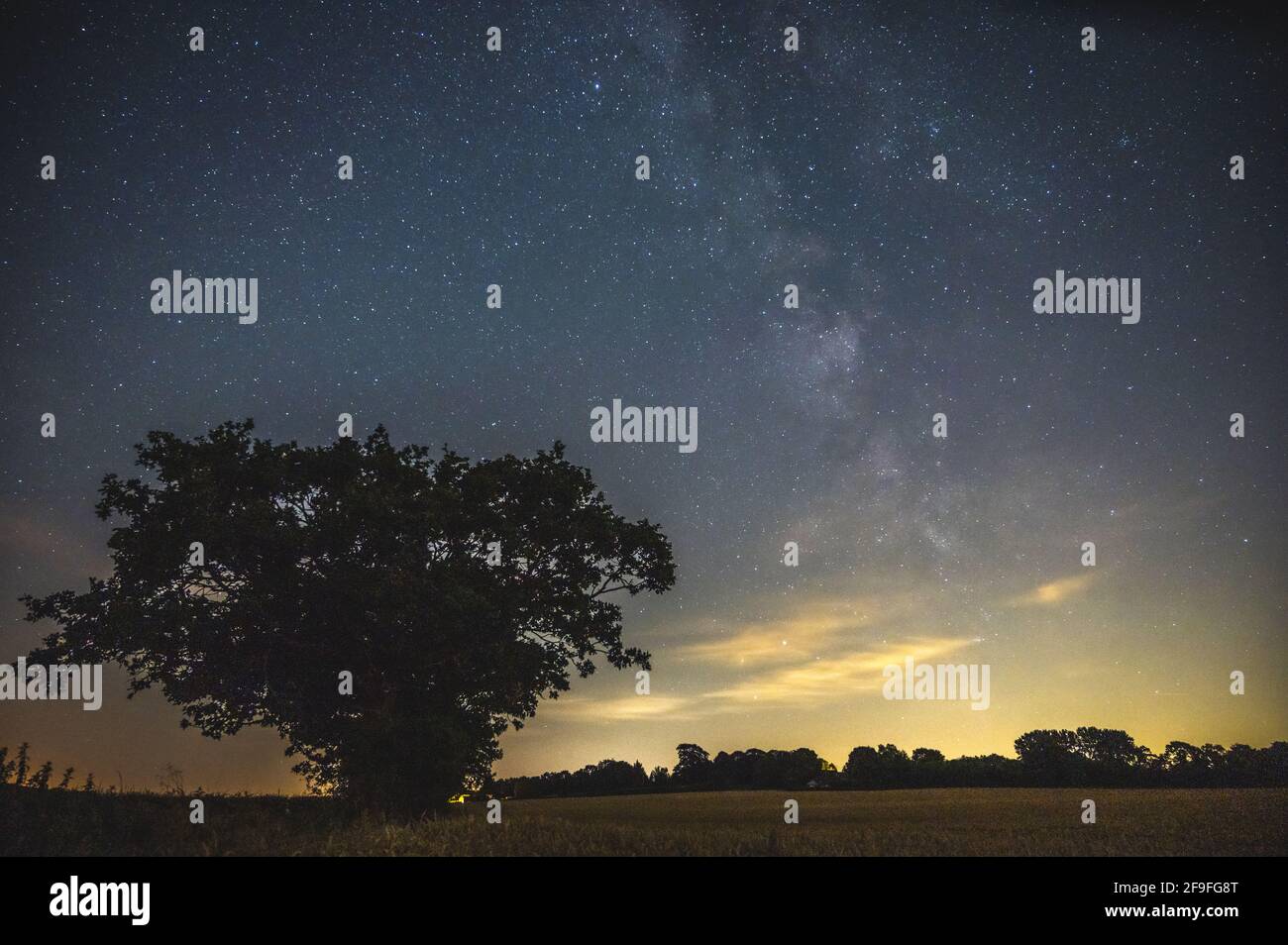 Starry night the silhouette of a lonely tree hi-res stock photography ...