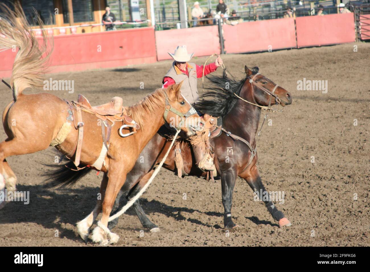Cwu Rodeo Washington state university hi-res stock photography and images - Alamy